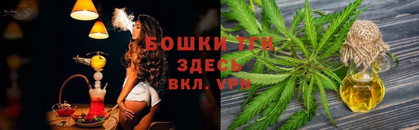 скорость Каменка