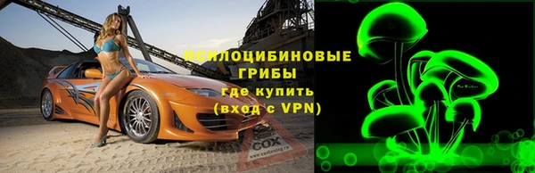 скорость Каменка