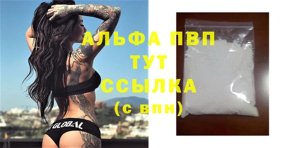 скорость Каменка