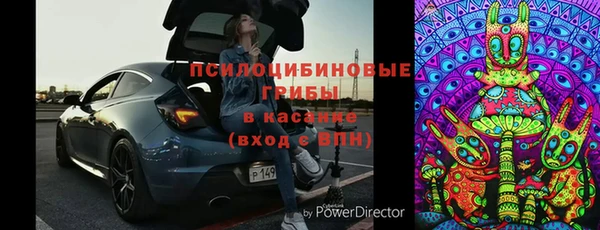 spice Каменногорск