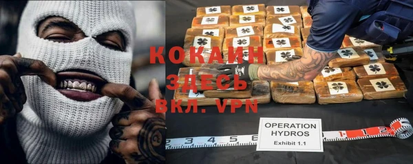 скорость Каменка