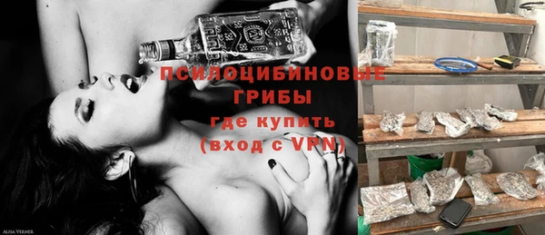 spice Каменногорск