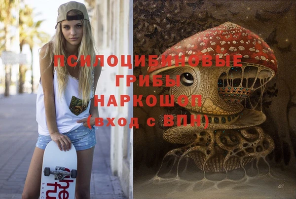 скорость Каменка