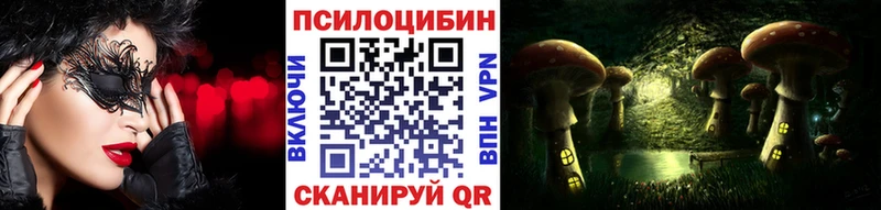 Купить закладки  Тайшет  Псилоцибиновые грибы Psilocybine cubensis 